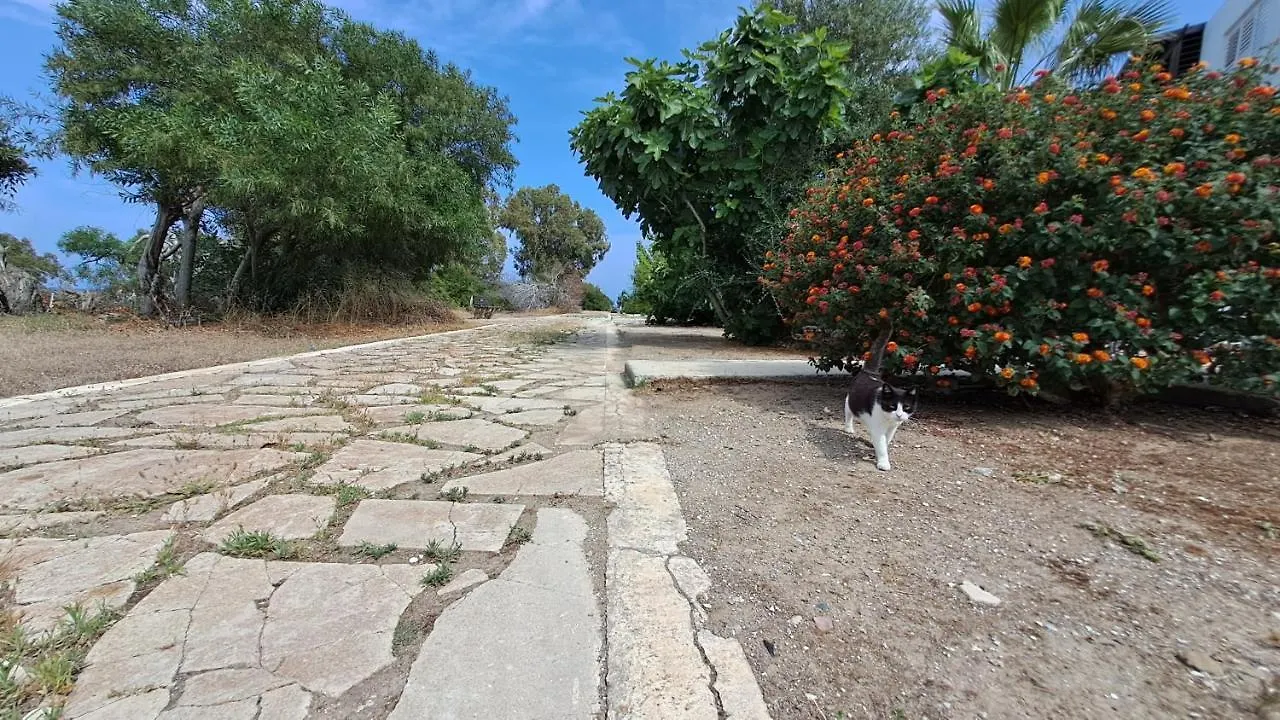 Yialos Cozy Beach House Apartment Larnaca Cyprus