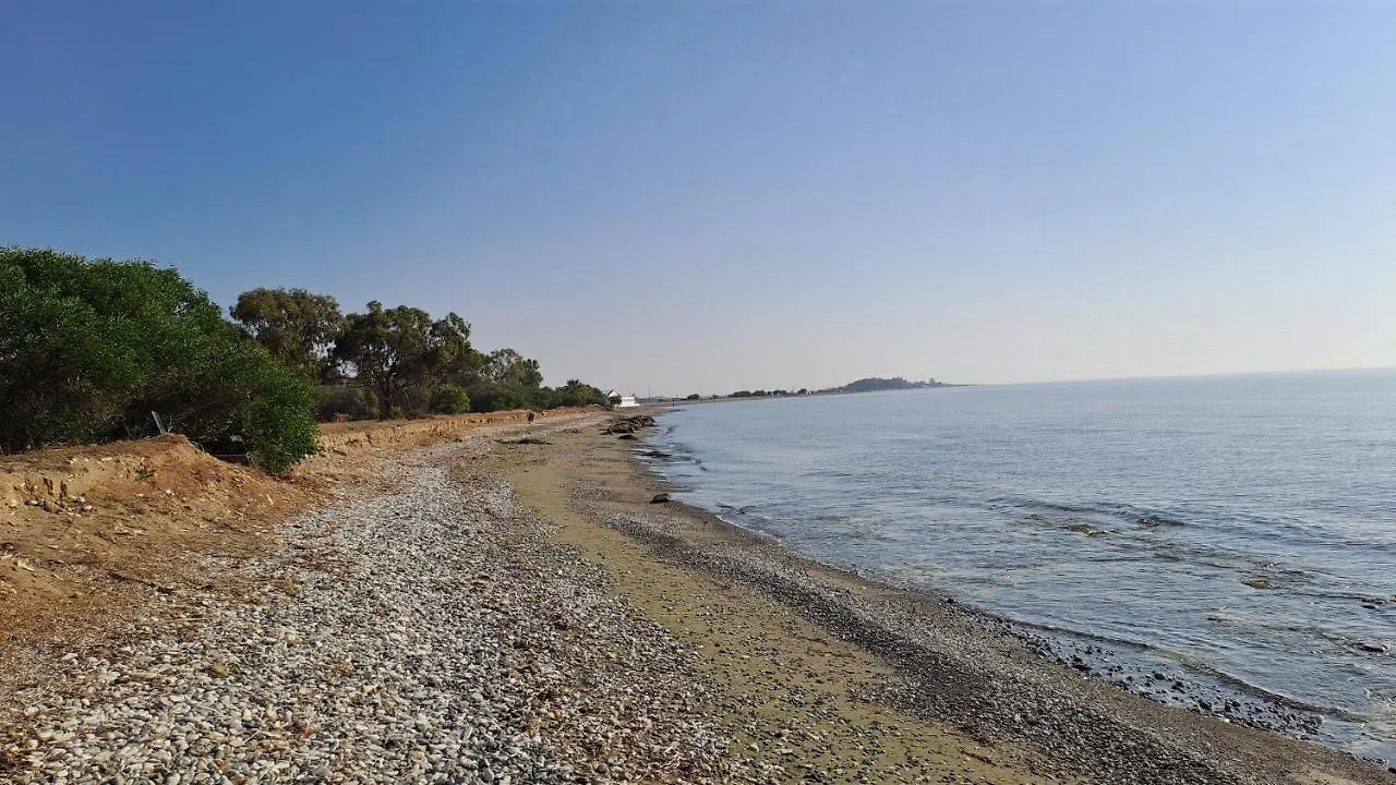 Yialos Cozy Beach House Apartment Larnaca Cyprus